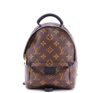 Louis Vuitton Palm Springs Backpack #240412L22B